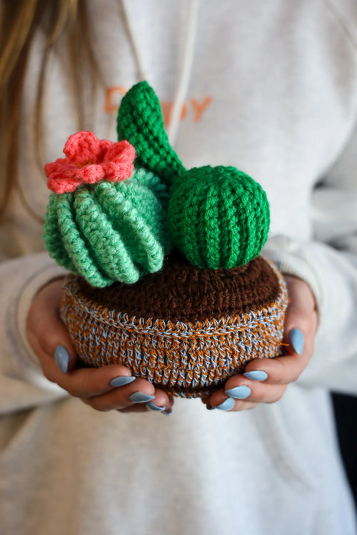 Cactus Plant Plushie